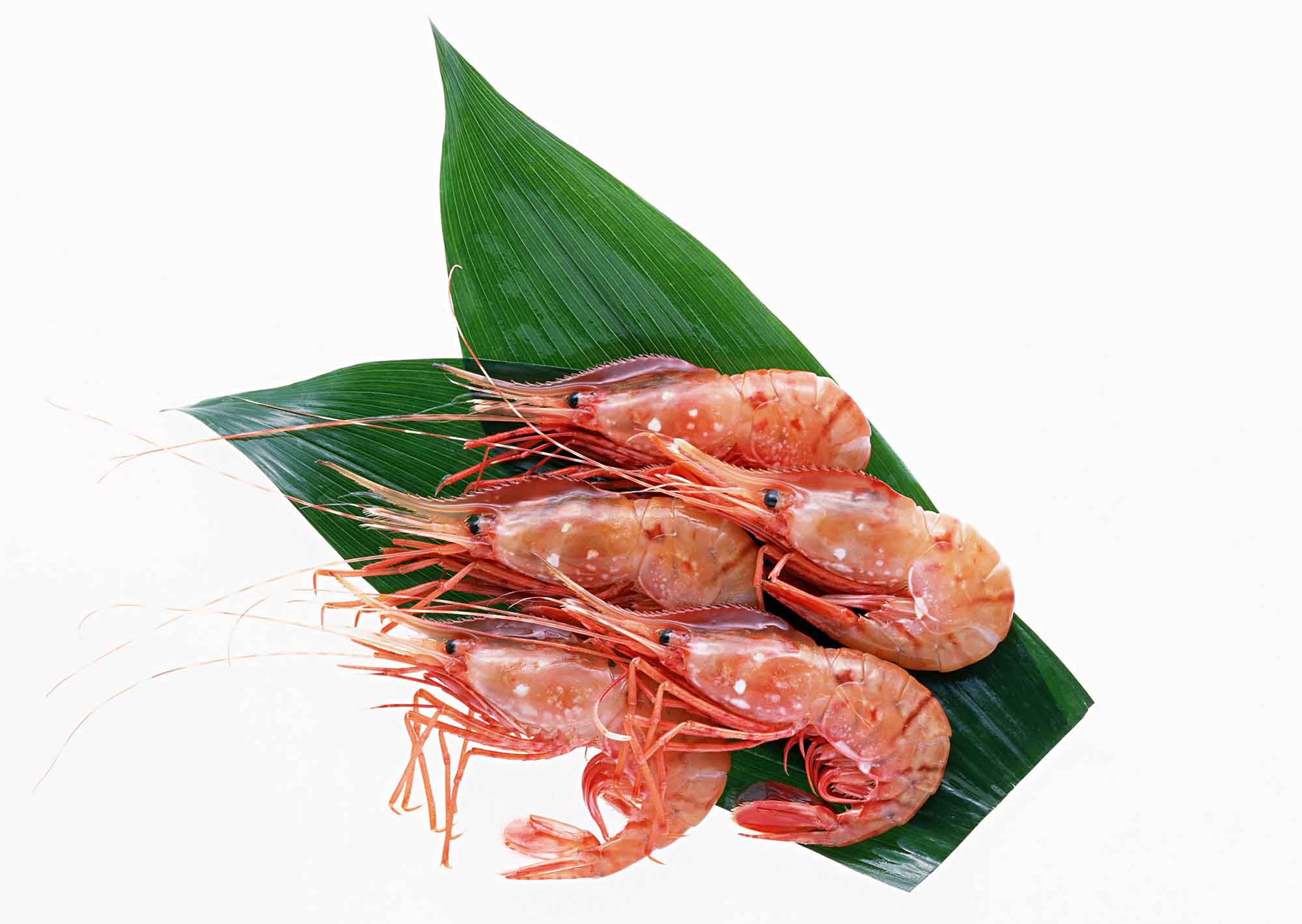 北々亭 千歳店